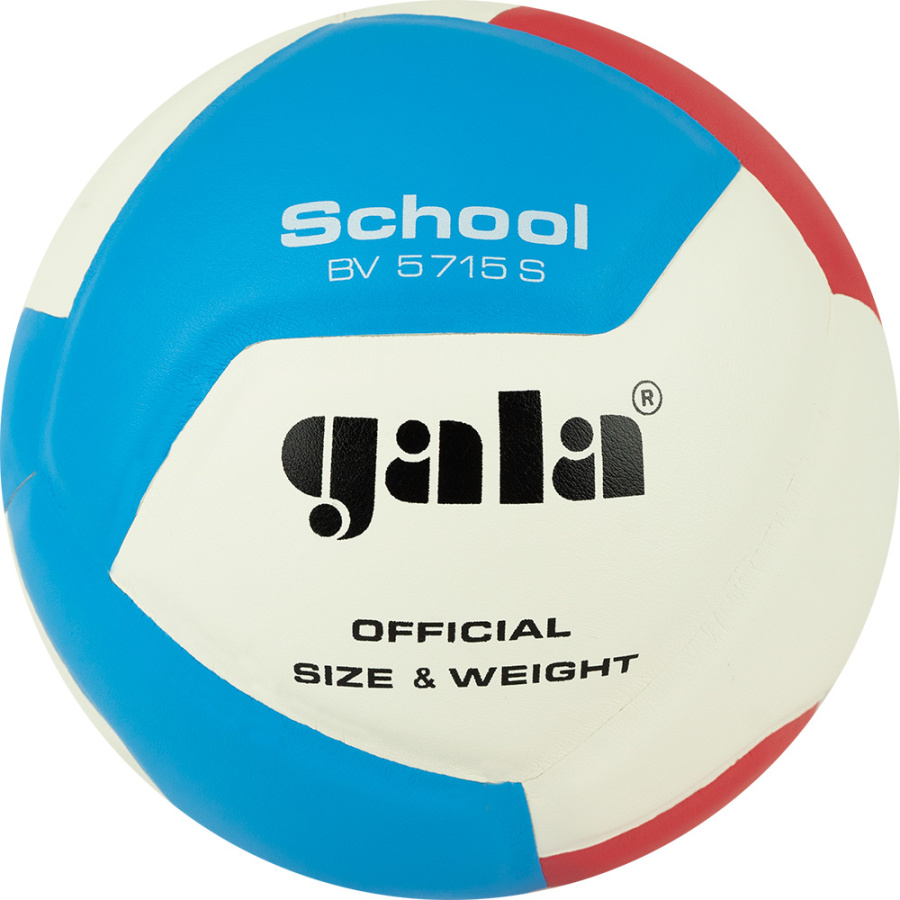 Мяч волейбольный GALA School 12, размер 5